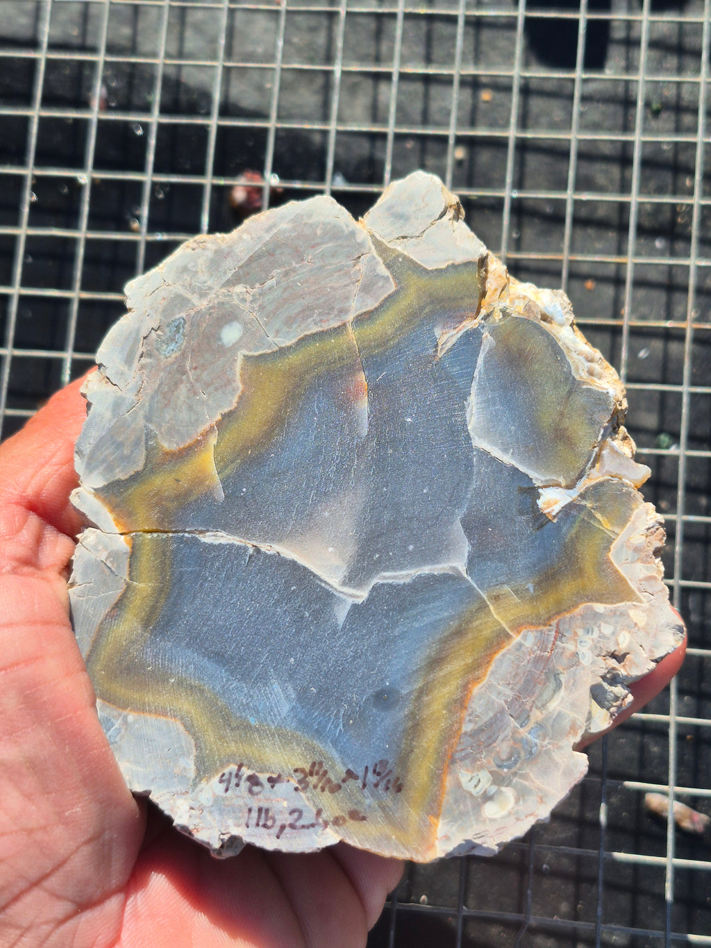 Turkish Agate Half