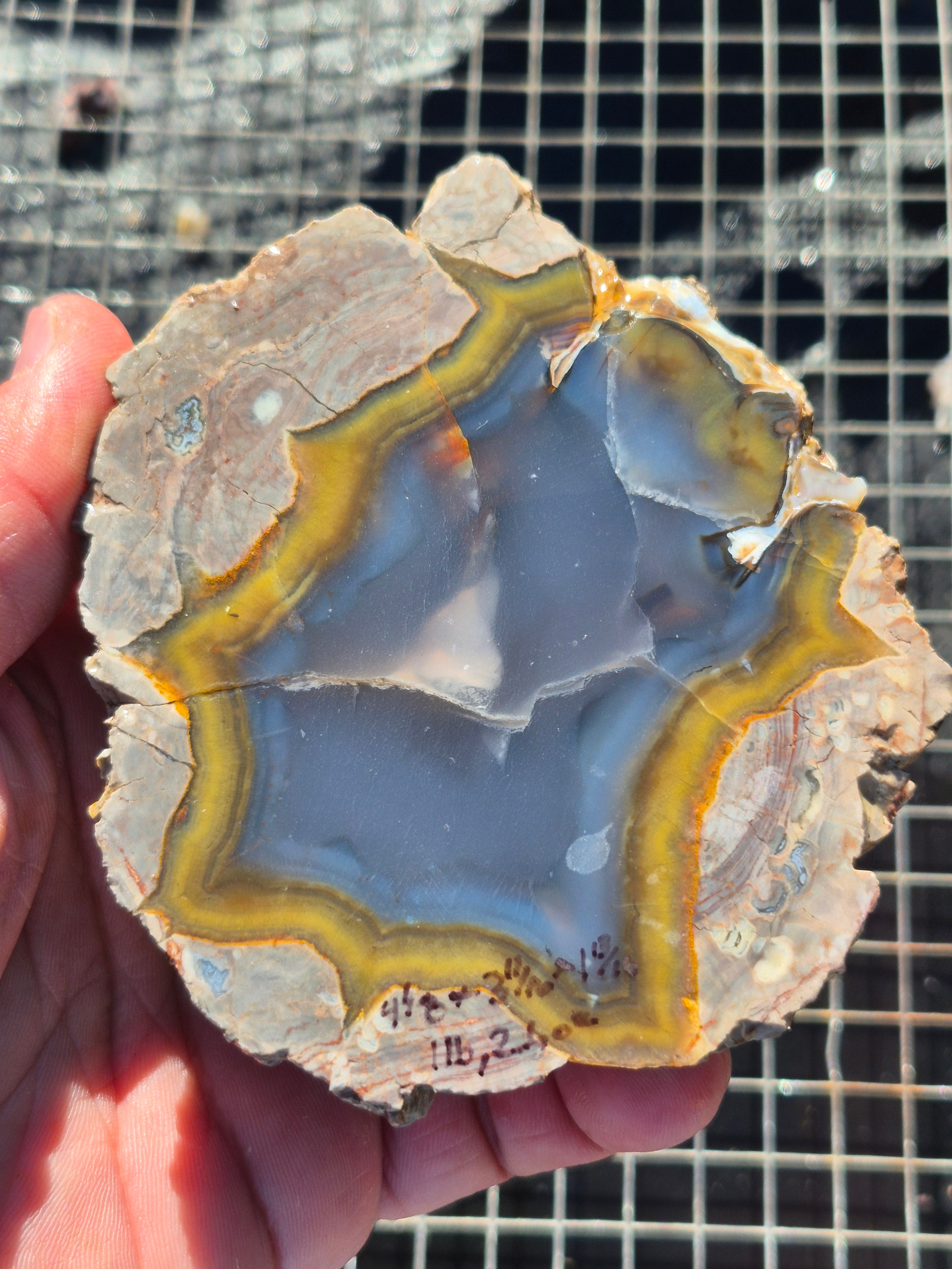 Turkish Agate Half