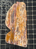 Afton Canyon Travertine