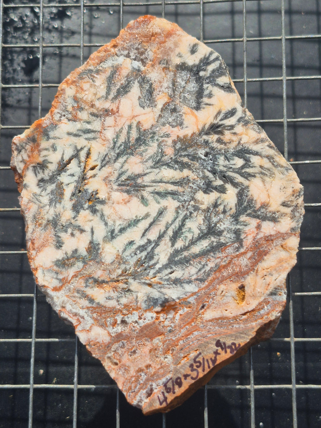 Dendritic Silver Ore