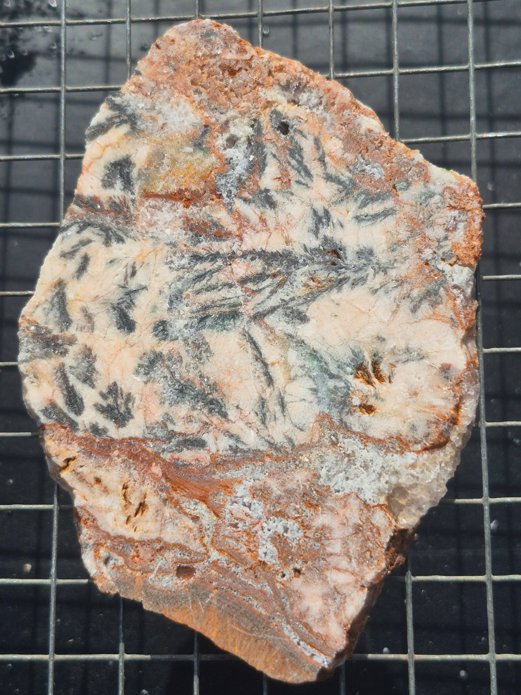 Dendritic Silver Ore