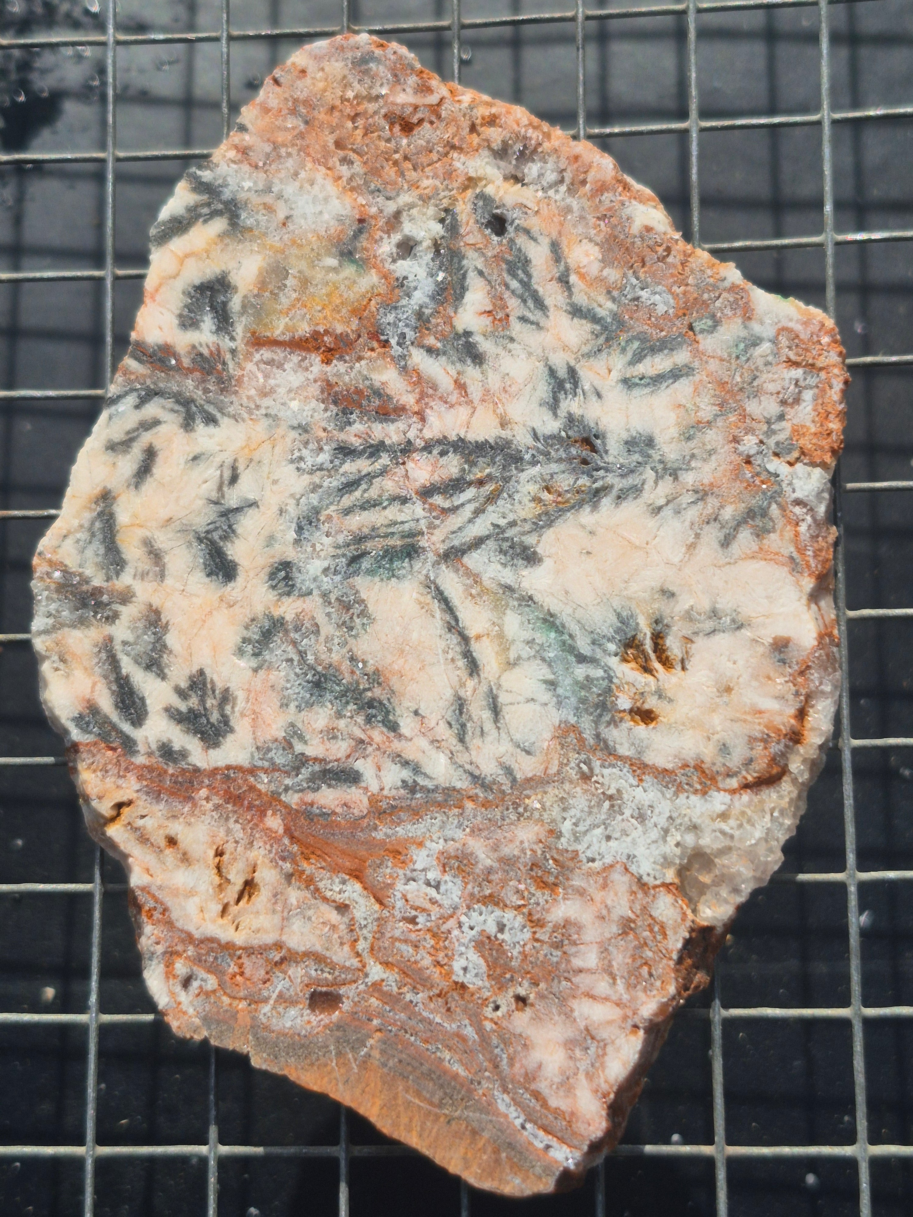 Dendritic Silver Ore
