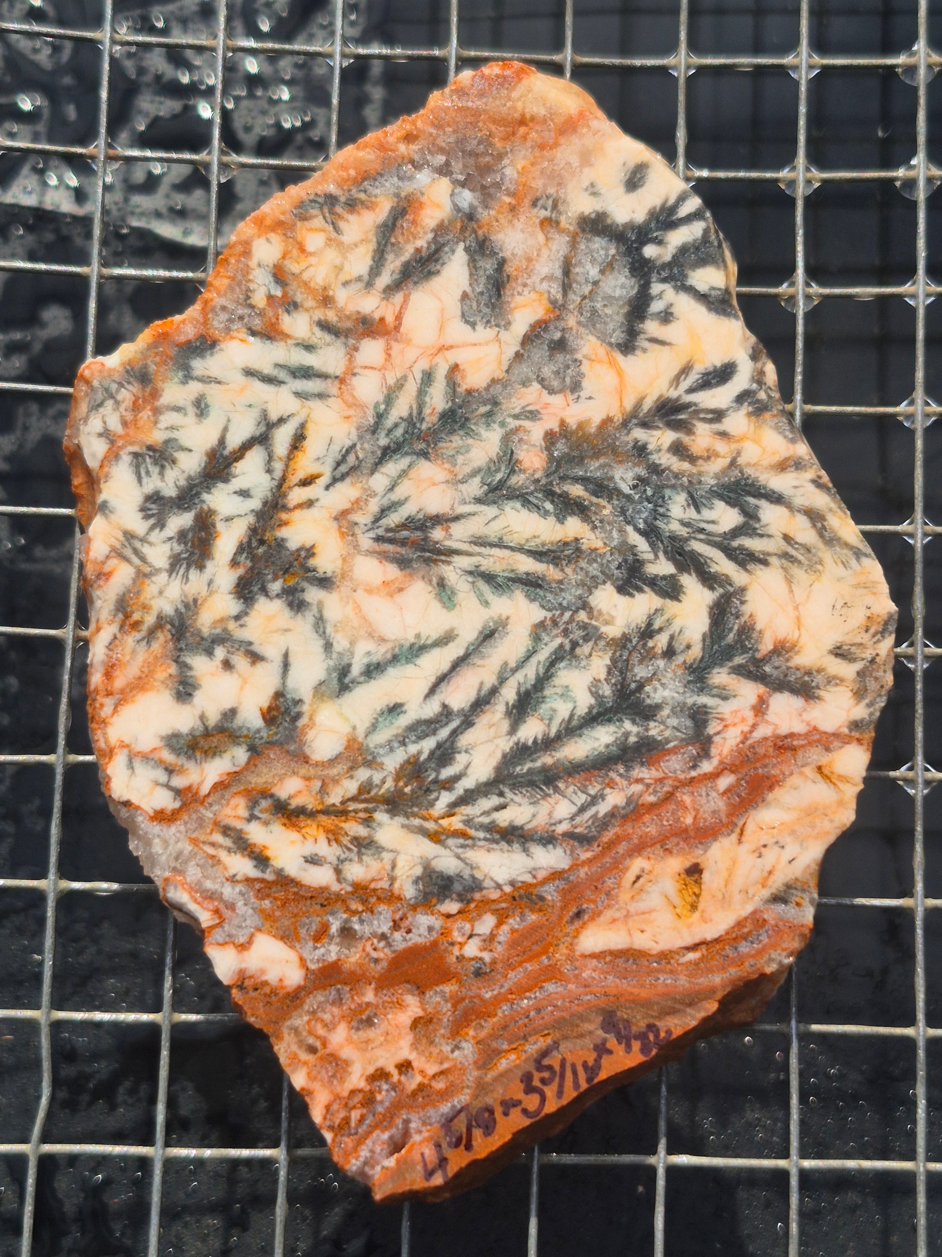 Dendritic Silver Ore
