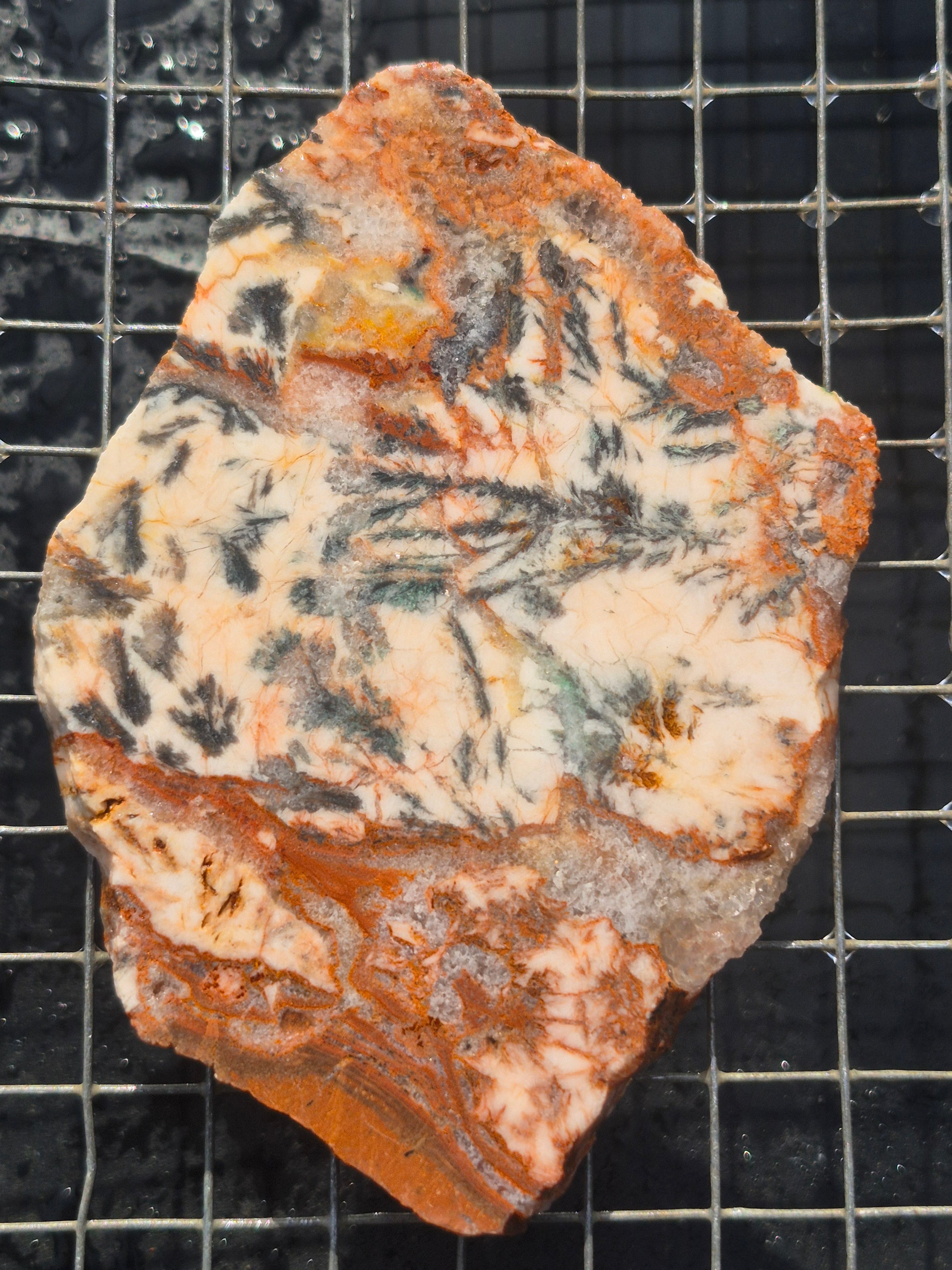 Dendritic Silver Ore