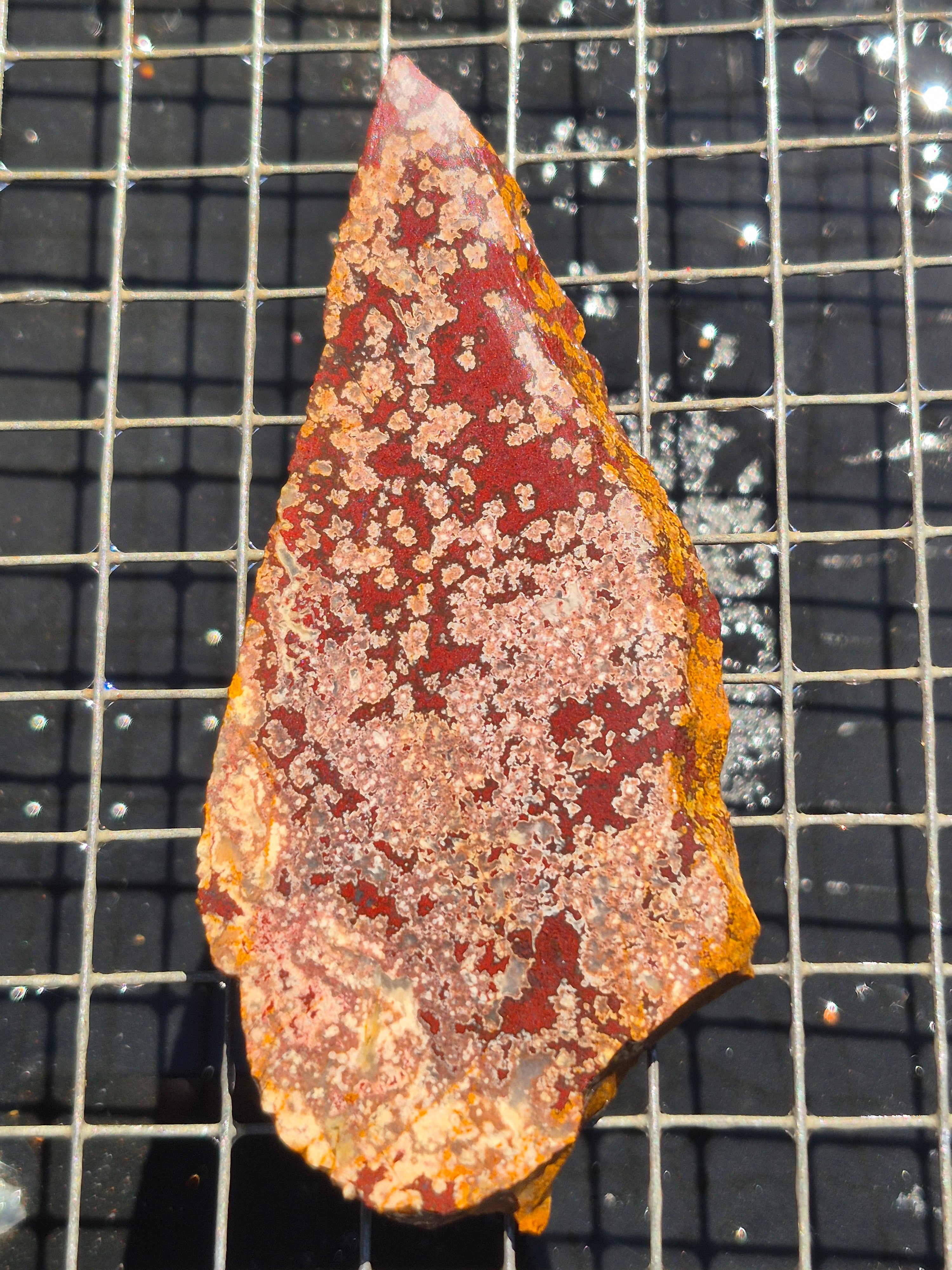Merced River Micro Poppy/Flowering Jasper