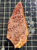 Merced River Micro Poppy/Flowering Jasper