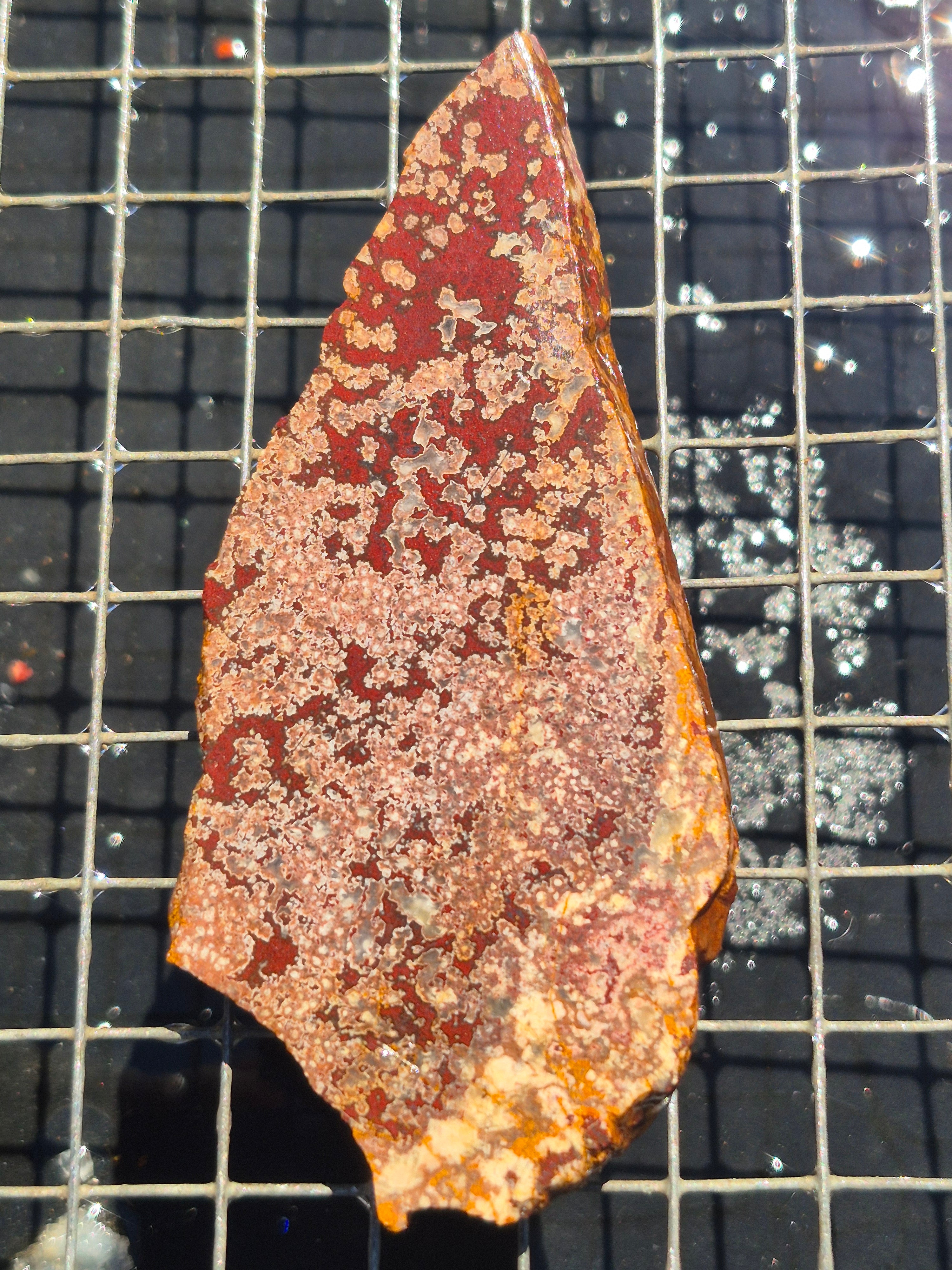 Merced River Micro Poppy/Flowering Jasper