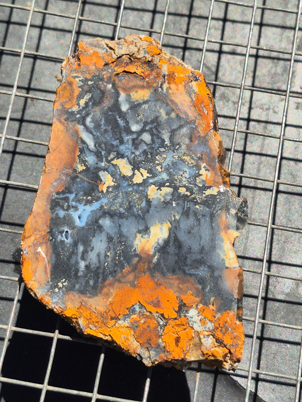 Anderson Reservoir Possible Brecciated Magnesite/Chalcedony and Iron Oxides