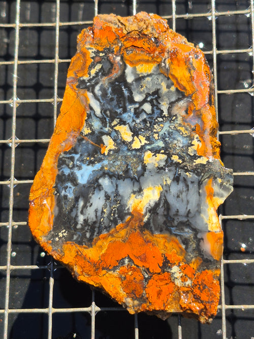 Anderson Reservoir Possible Brecciated Magnesite/Chalcedony and Iron Oxides
