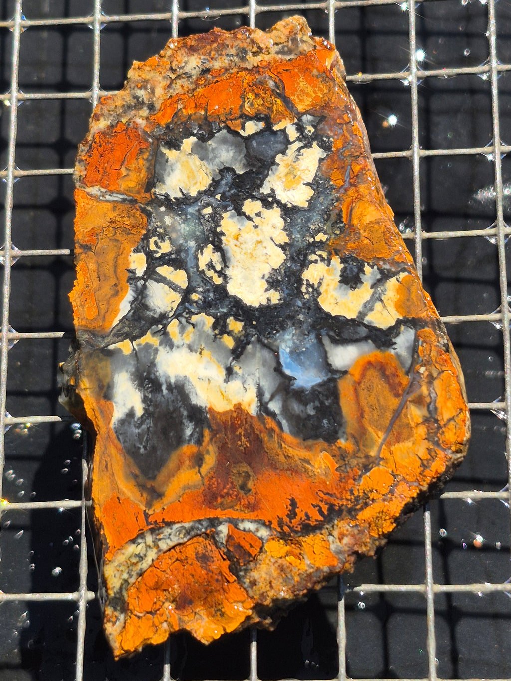 Anderson Reservoir Possible Brecciated Magnesite/Chalcedony and Iron Oxides
