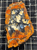 Anderson Reservoir Possible Brecciated Magnesite/Chalcedony and Iron Oxides