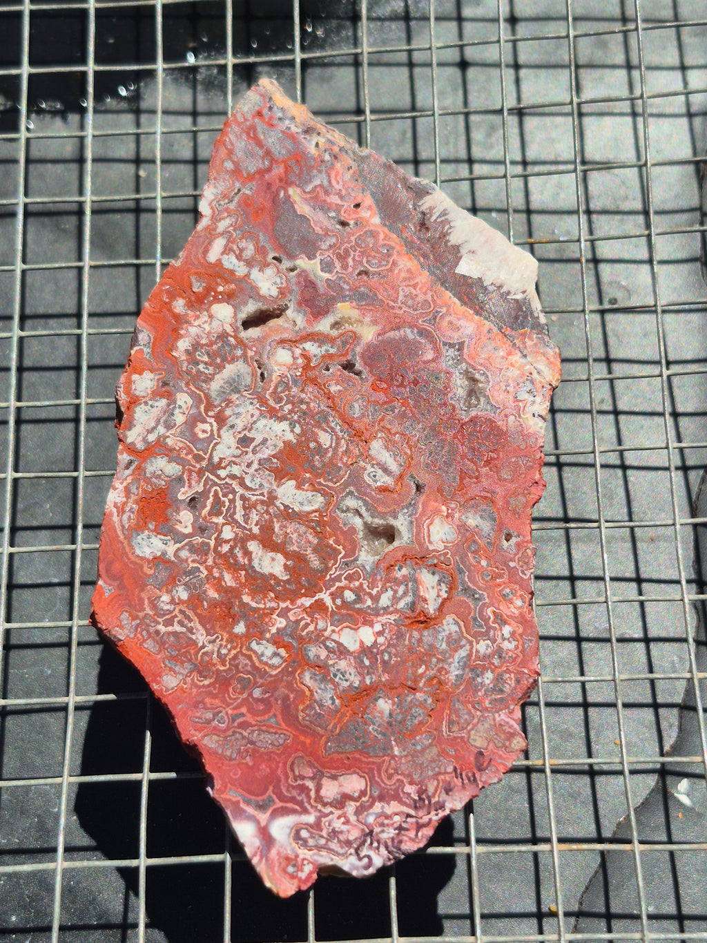 Red Crazy Lace w/Druzy Vygs