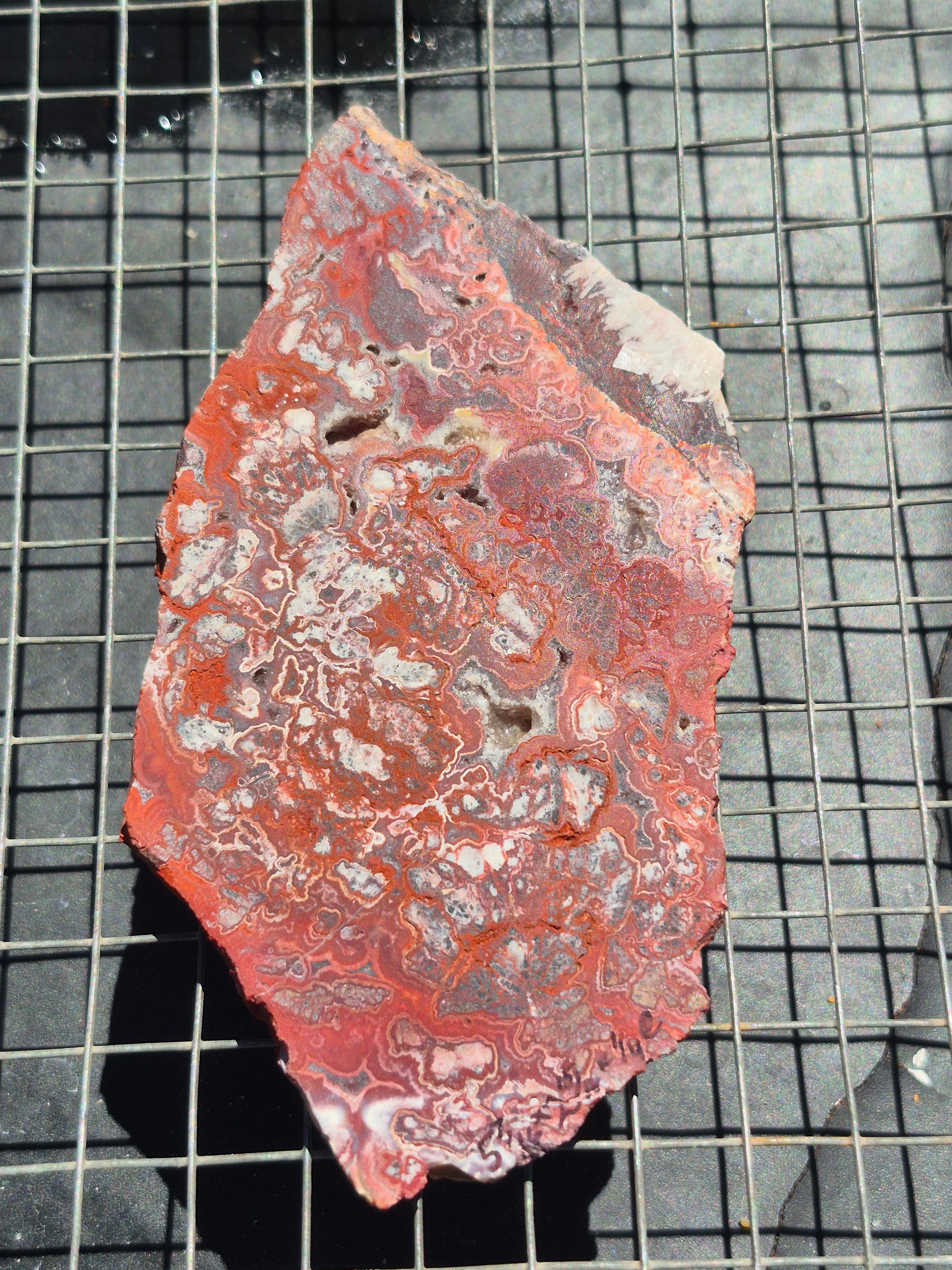 Red Crazy Lace w/Druzy Vygs