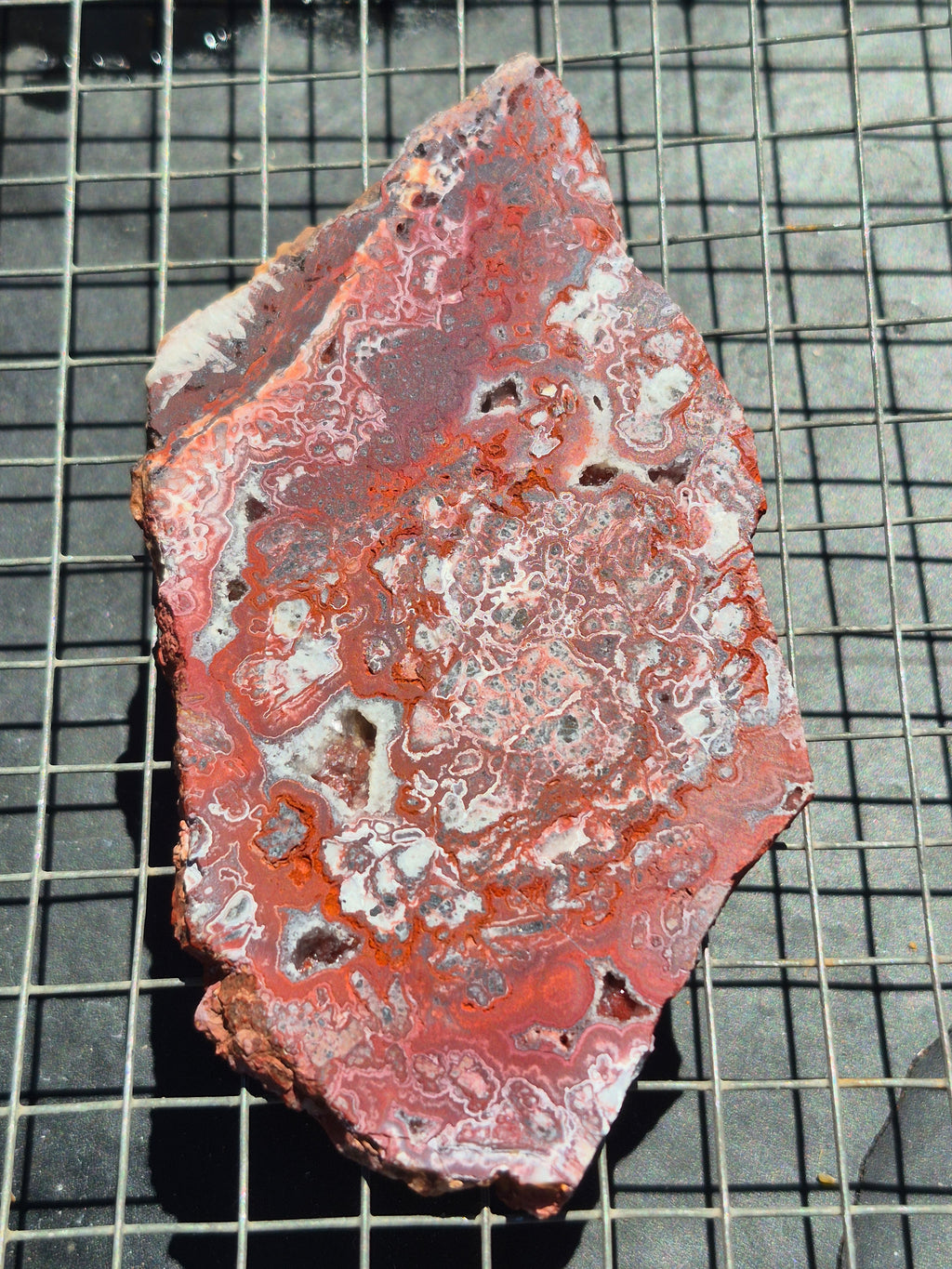 Red Crazy Lace w/Druzy Vygs