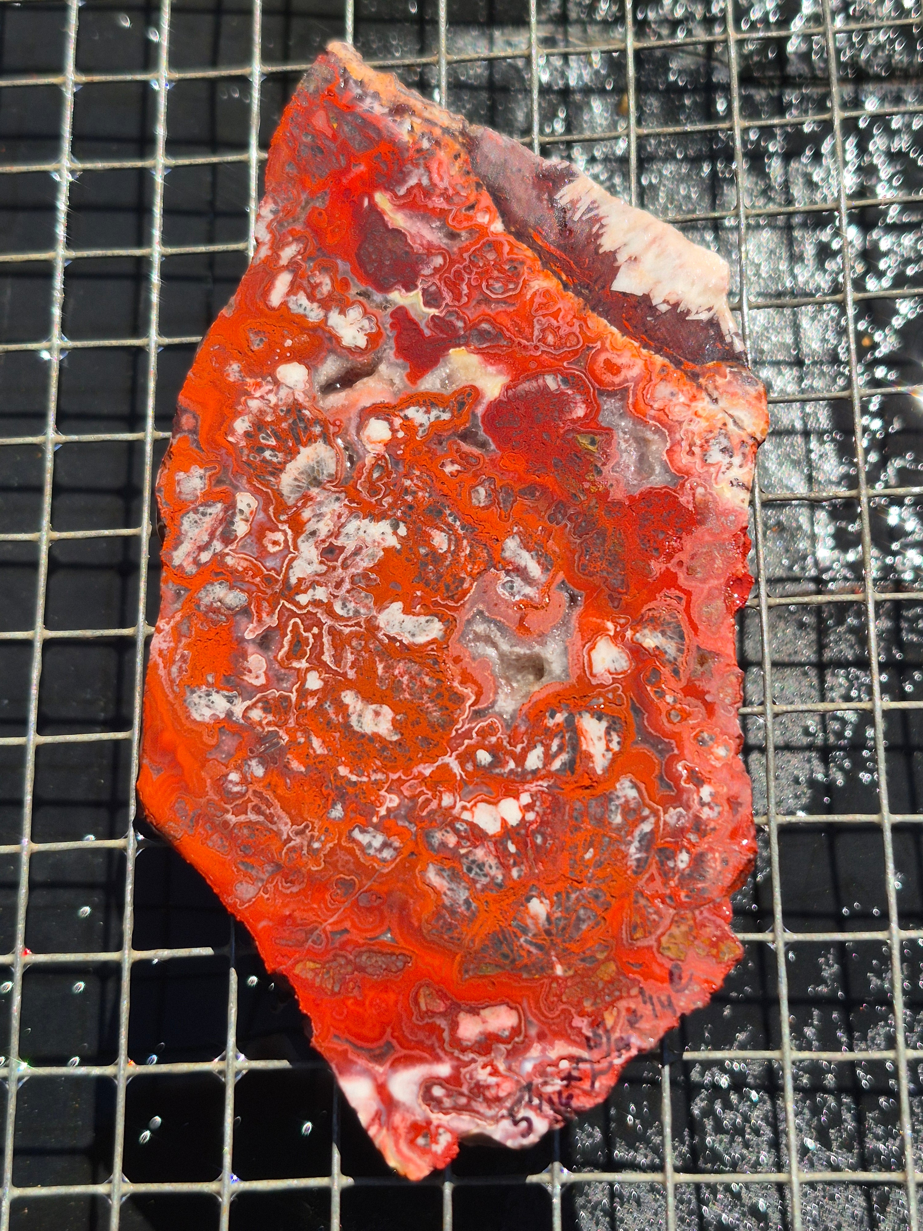 Red Crazy Lace w/Druzy Vygs