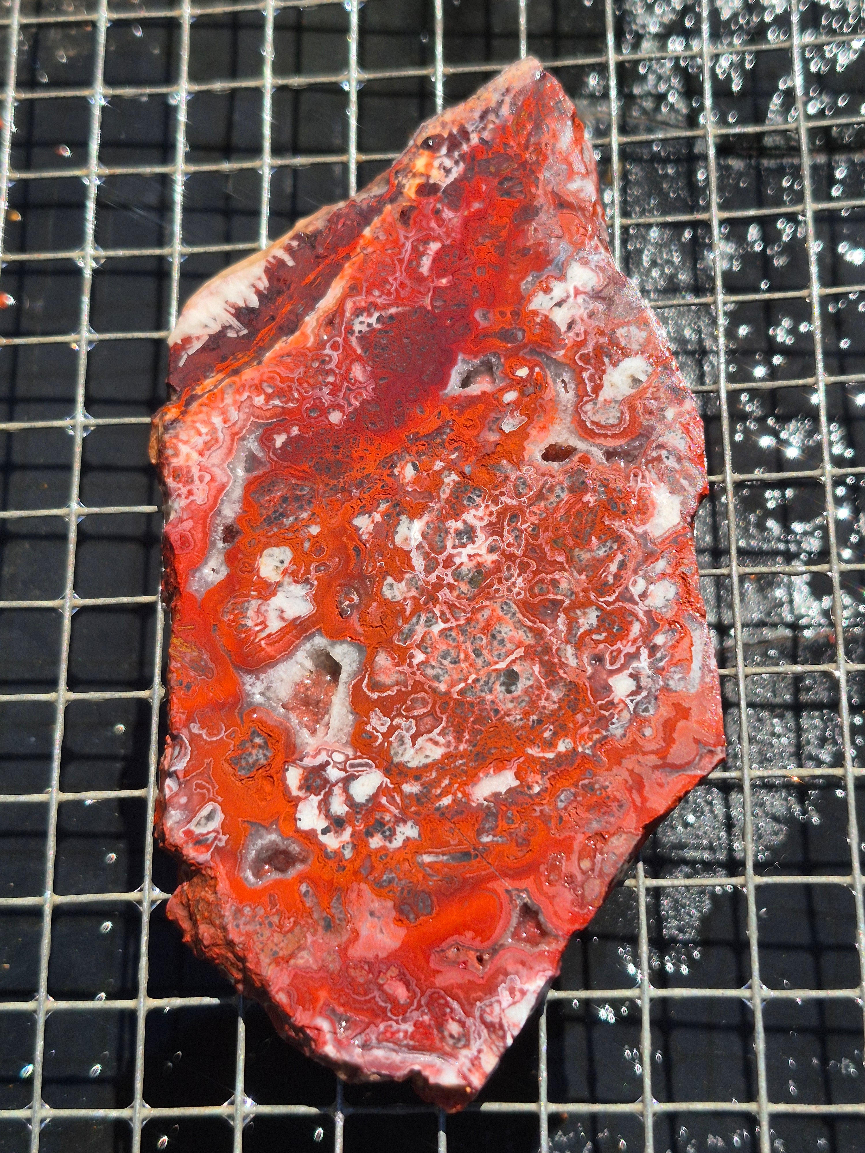 Red Crazy Lace w/Druzy Vygs