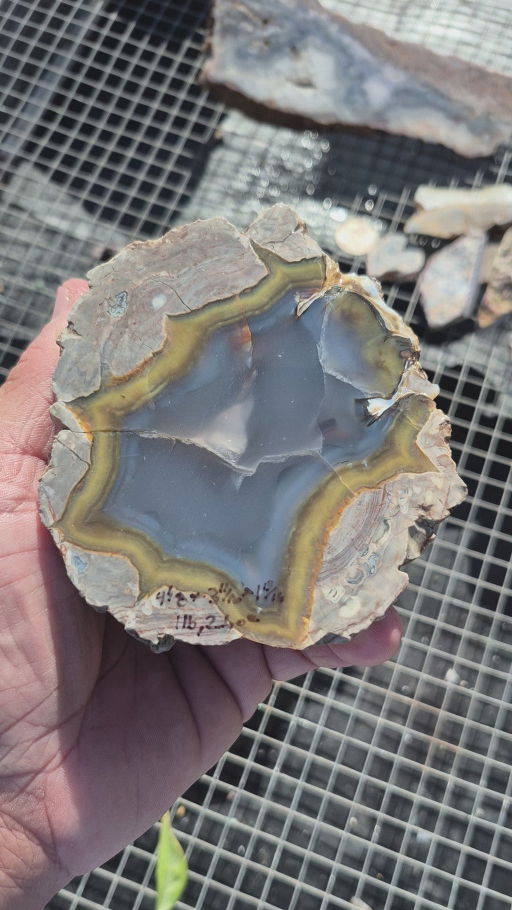Turkish Agate Half